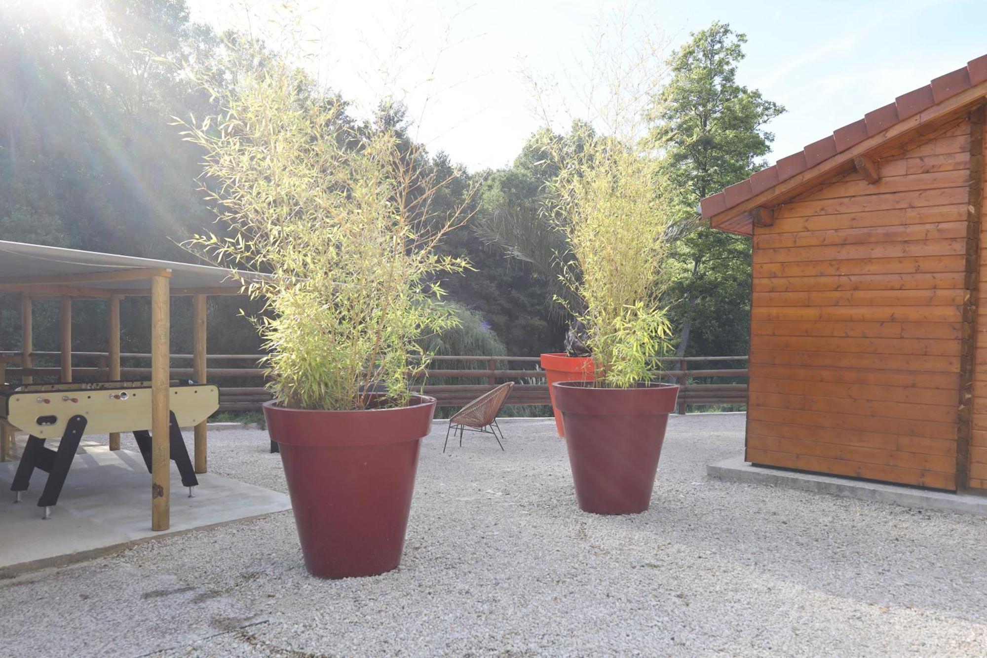 Les Chalets Du Marais Saint-Pierre-Aigle Εξωτερικό φωτογραφία